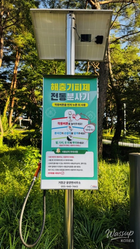 Discovering the Hidden Healing Spot: Dongho Forest in Geochang_23