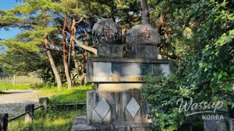 Discovering the Hidden Healing Spot: Dongho Forest in Geochang_25