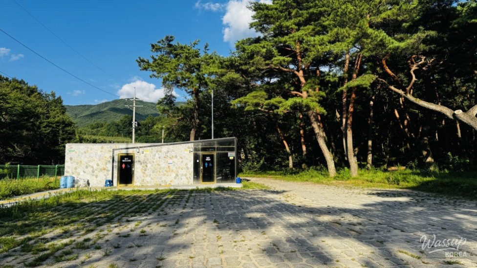 Discovering the Hidden Healing Spot: Dongho Forest in Geochang_22