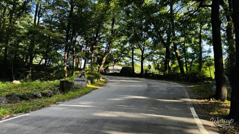 Discovering the Hidden Healing Spot: Dongho Forest in Geochang_02