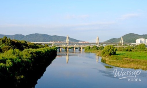 Discovering the Serenity of Sejong City: A Perfect Spring Getaway_08
