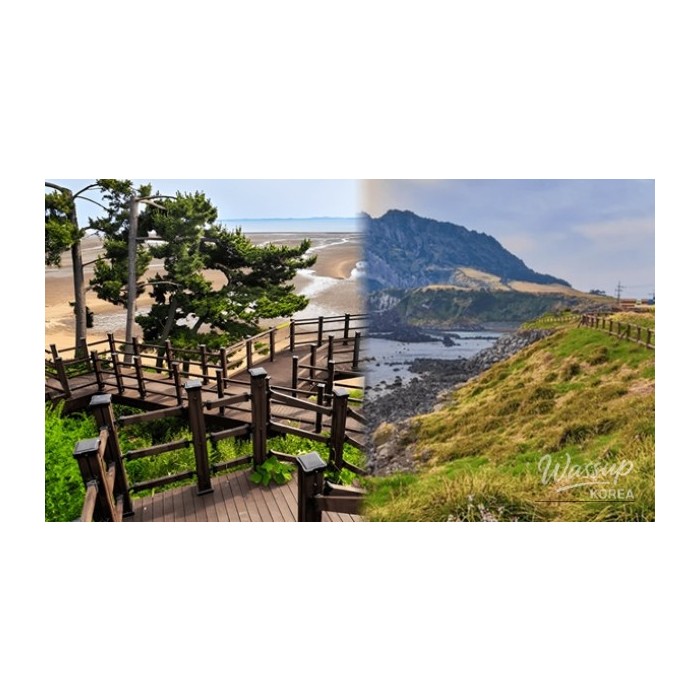 Spring Getaway: Discovering the Charm of Hongseong4708