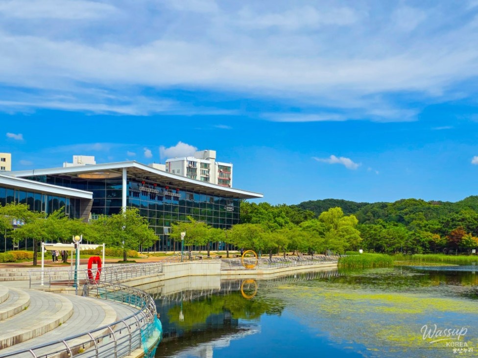 Exploring the Metasequoia Forest Trail in Ulsan Grand Park_02