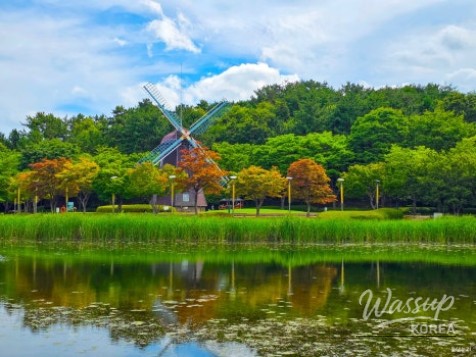 Exploring the Metasequoia Forest Trail in Ulsan Grand Park_03