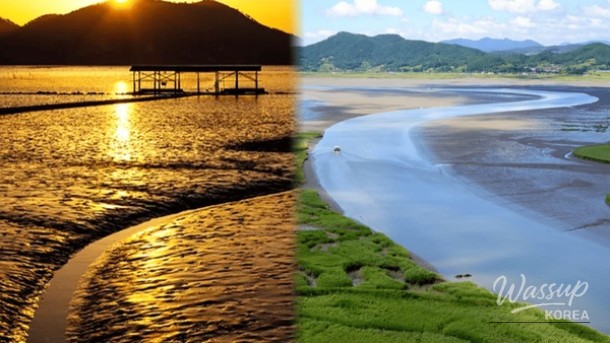 Discovering the Beauty of Suncheon in April: Top 4 Must-Visit Places_01