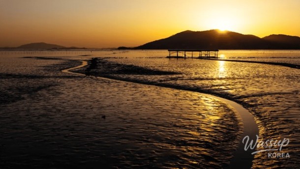 Discovering the Beauty of Suncheon in April: Top 4 Must-Visit Places_02