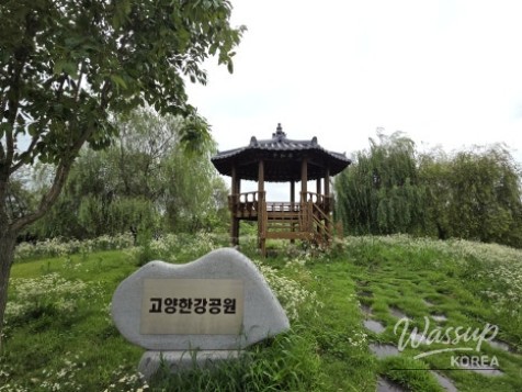 Explore Goyang Han River Peace Park: A Perfect Spot for Riding and Walking_02