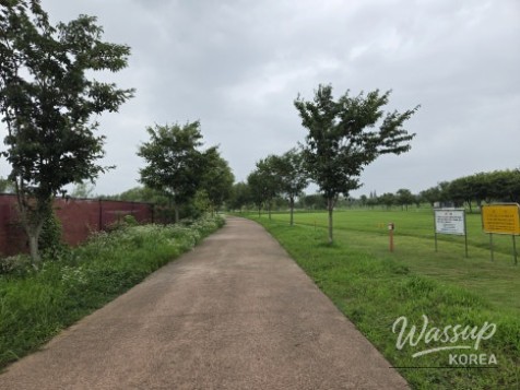 Explore Goyang Han River Peace Park: A Perfect Spot for Riding and Walking_04