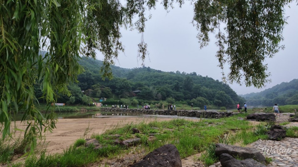 Discovering the Beauty of Nongdari Ecological Cultural Park in Jincheon_05