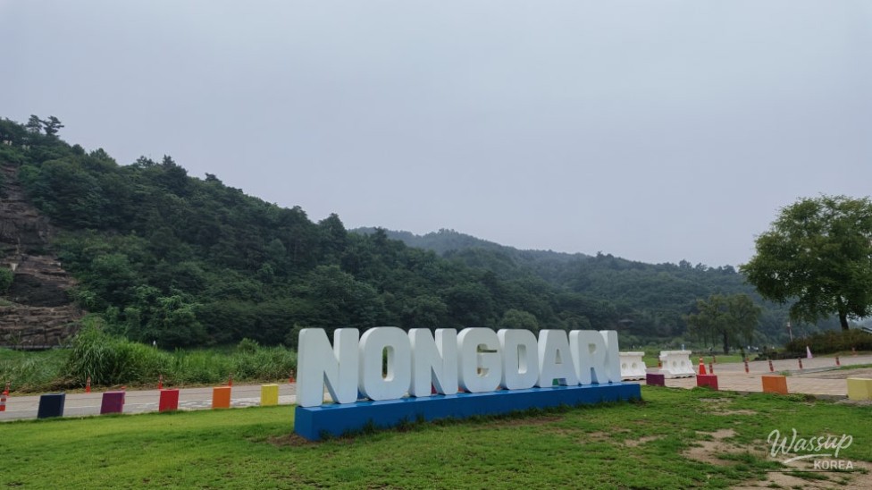 Discovering the Beauty of Nongdari Ecological Cultural Park in Jincheon_04