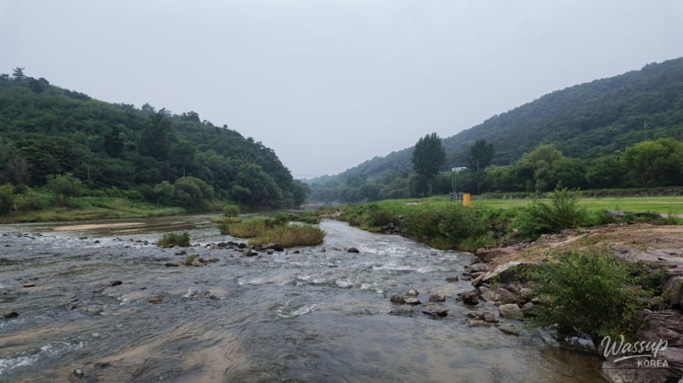 Discovering the Beauty of Nongdari Ecological Cultural Park in Jincheon_03