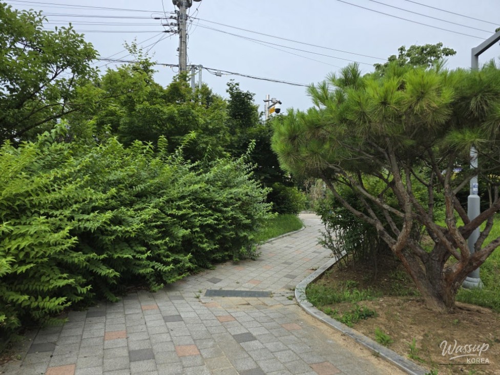 Discovering Jincheon Children's Park No. 3: A Family-Friendly Retreat_13
