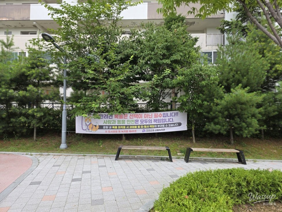 Discovering Jincheon Children's Park No. 3: A Family-Friendly Retreat_12