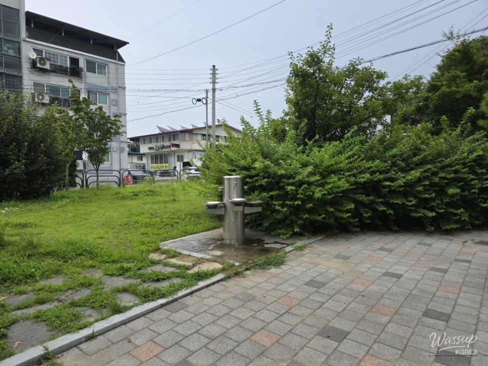 Discovering Jincheon Children's Park No. 3: A Family-Friendly Retreat_11