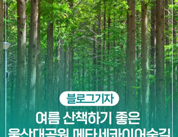 Exploring the Metasequoia Forest Trail in Ulsan Grand Park float