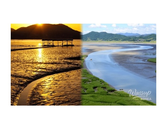 Discovering the Beauty of Suncheon in April: Top 4 Must-Visit Places float