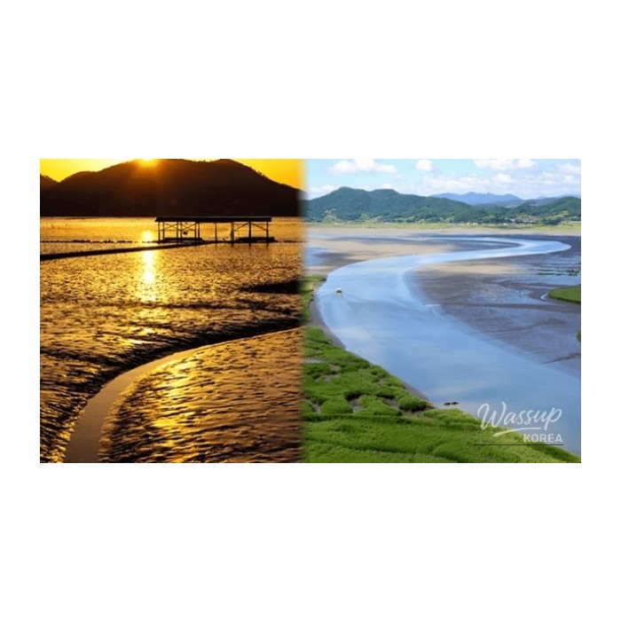 Discovering the Beauty of Suncheon in April: Top 4 Must-Visit Places4716