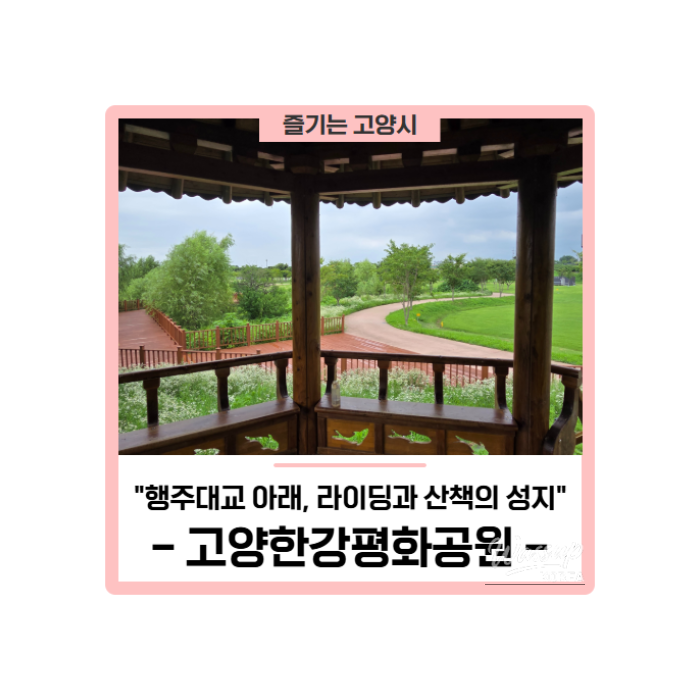 Explore Goyang Han River Peace Park: A Perfect Spot for Riding and Walking458