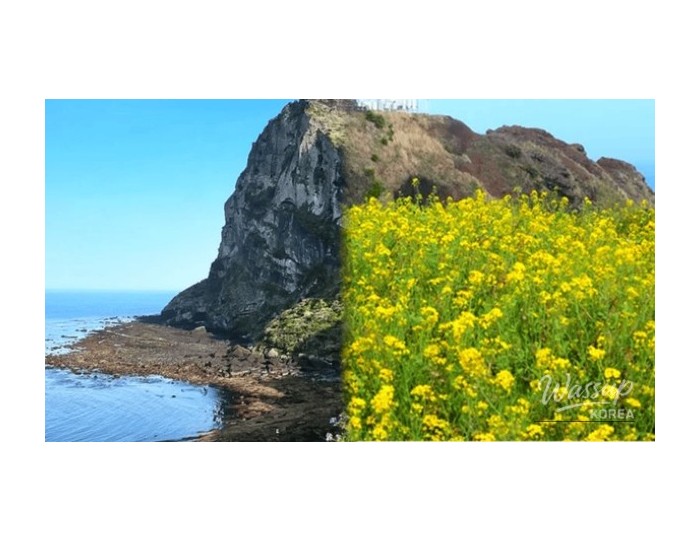 Top 4 Must-Visit Places in Jeju in April float