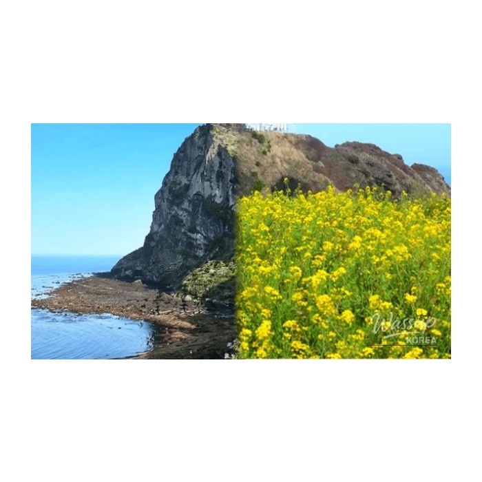 Top 4 Must-Visit Places in Jeju in April4728