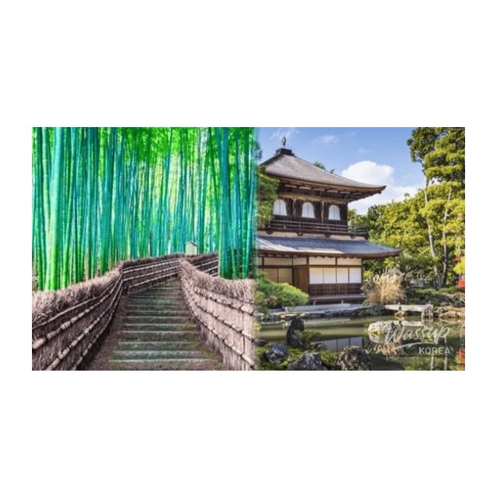 Top 4 Must-Visit Places in Kyoto, Japan in April4724