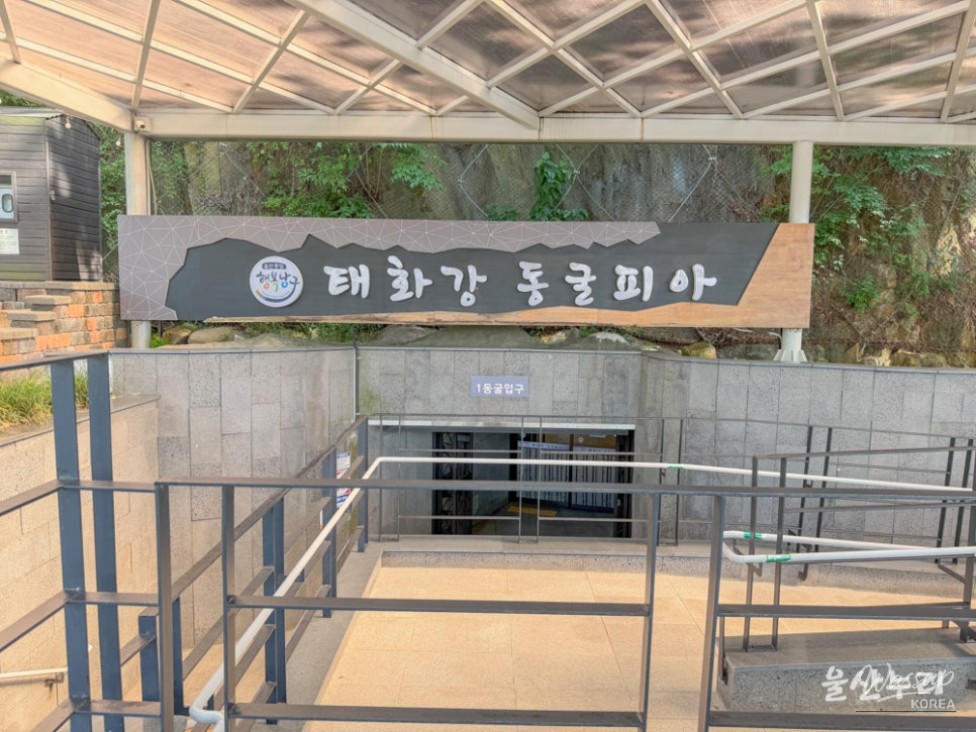 Exploring the Cool Escape of Taehwa River Cavepia in Ulsan_03