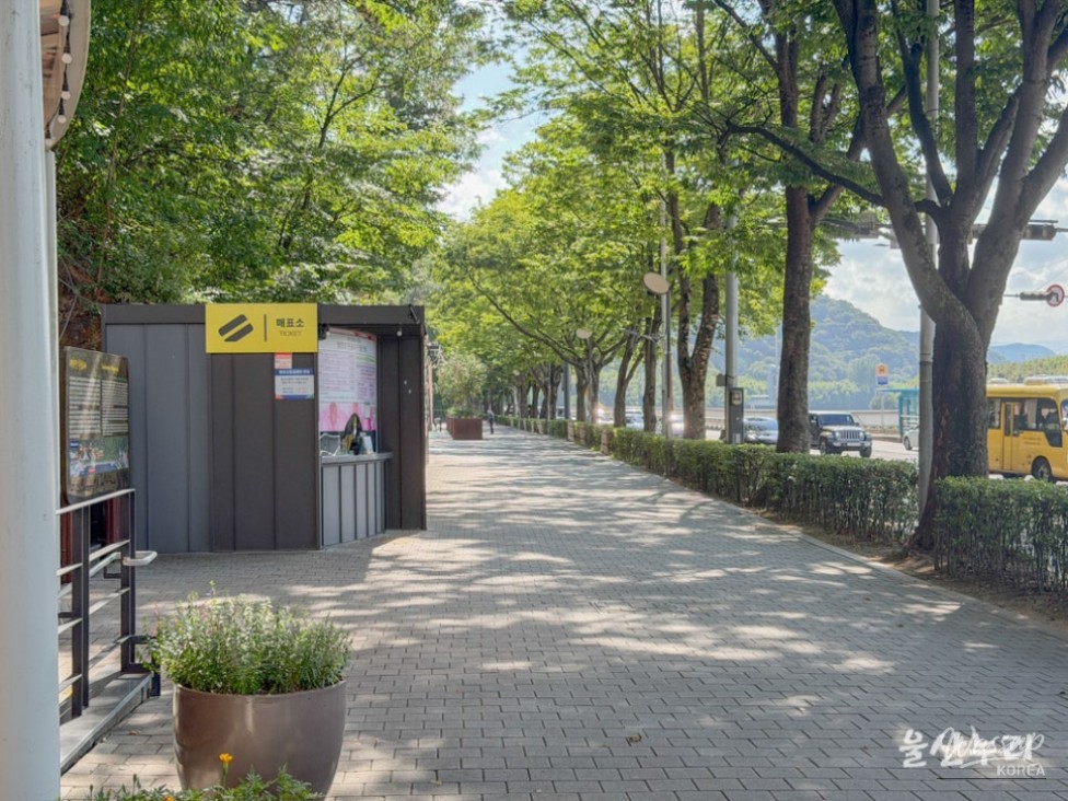 Exploring the Cool Escape of Taehwa River Cavepia in Ulsan_02