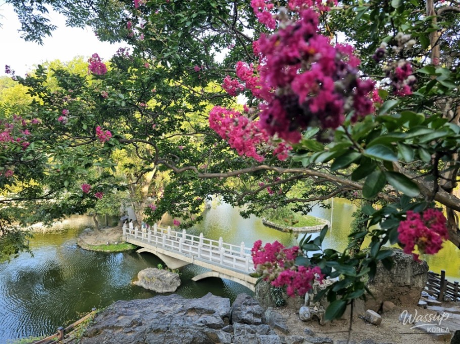 The Red Excitement of Summer Flowers: A Healing Walk at Mujinjeong, Ham-an_02