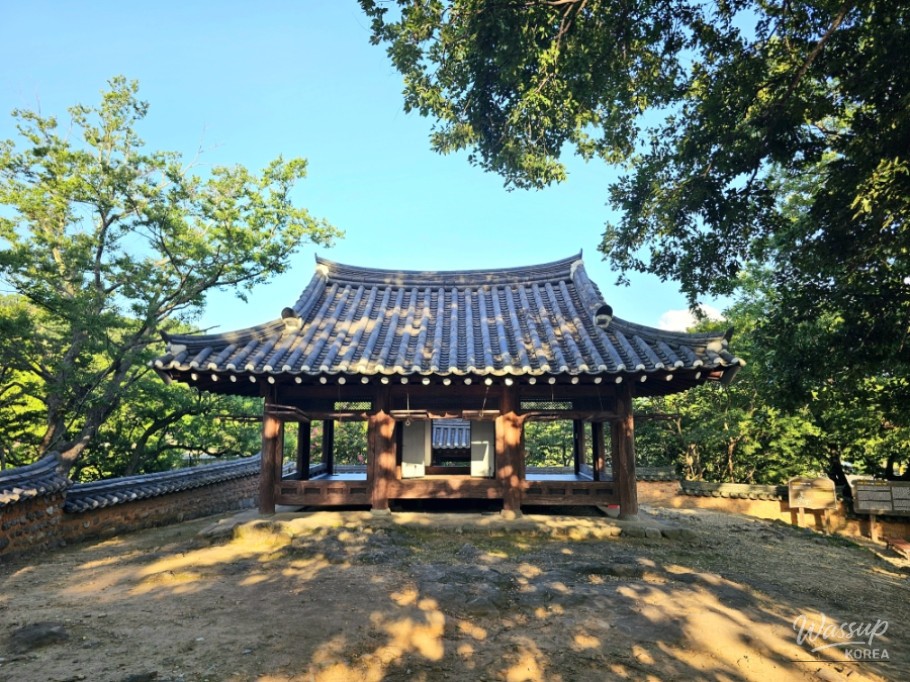 The Red Excitement of Summer Flowers: A Healing Walk at Mujinjeong, Ham-an_05