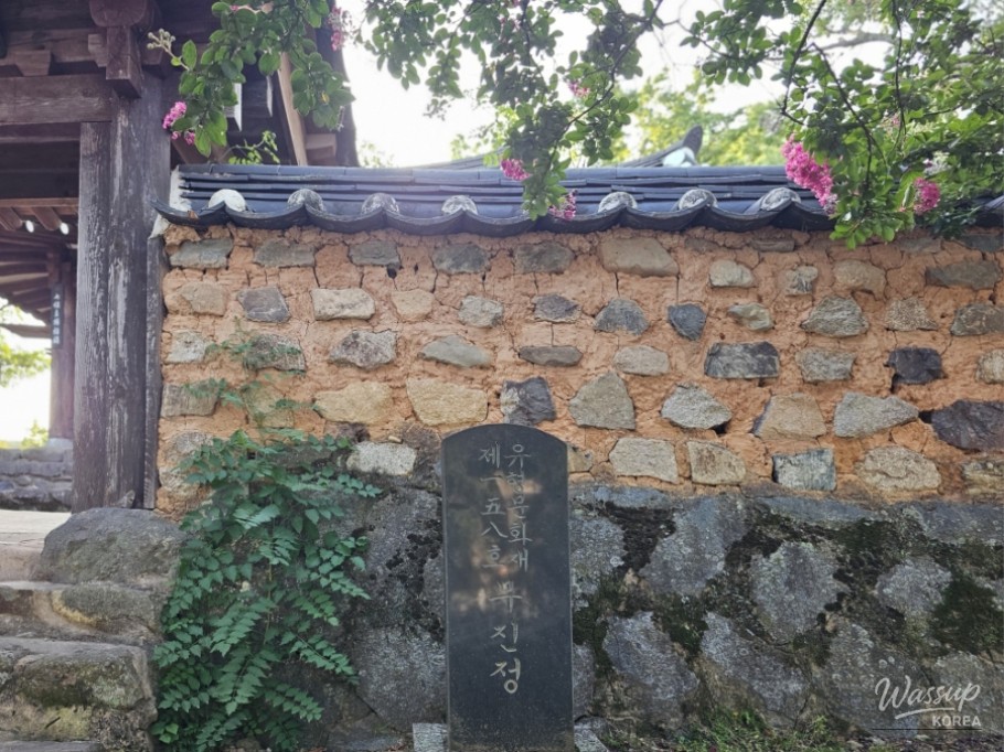The Red Excitement of Summer Flowers: A Healing Walk at Mujinjeong, Ham-an_04