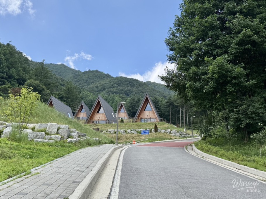 Exploring Geochang Forest Leisure Park_04