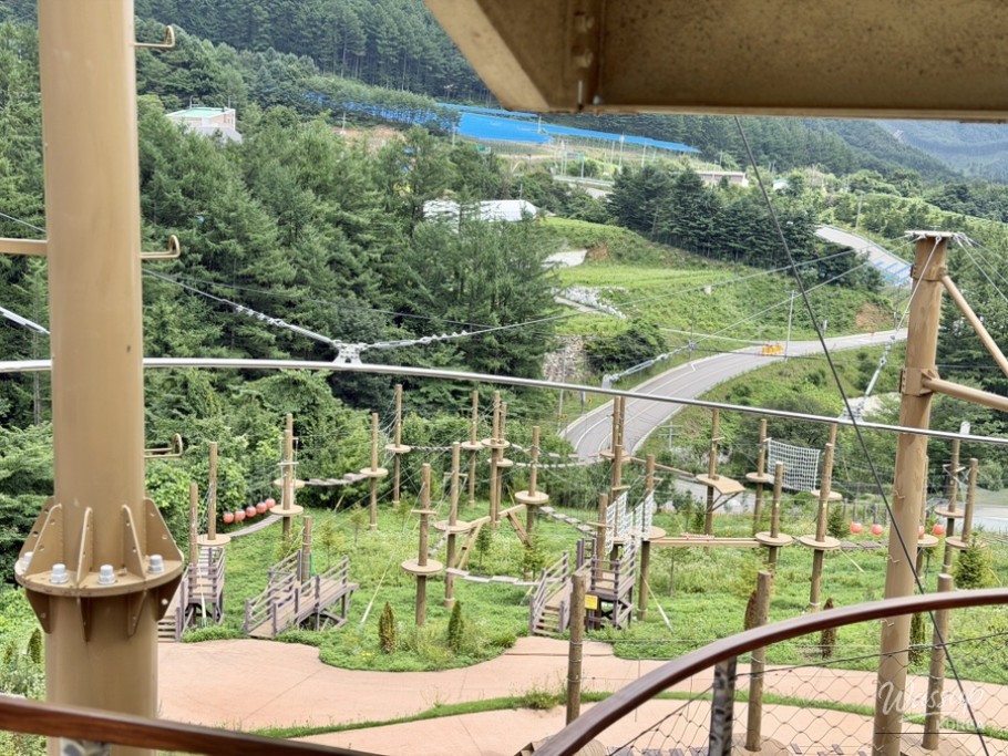 Exploring Geochang Forest Leisure Park_13