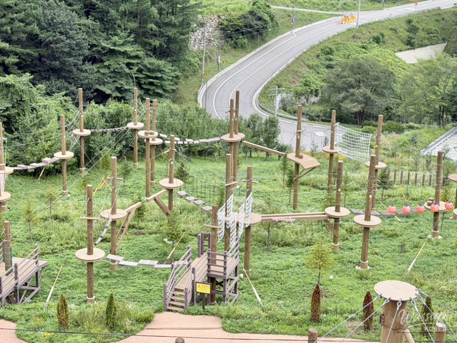 Exploring Geochang Forest Leisure Park_17
