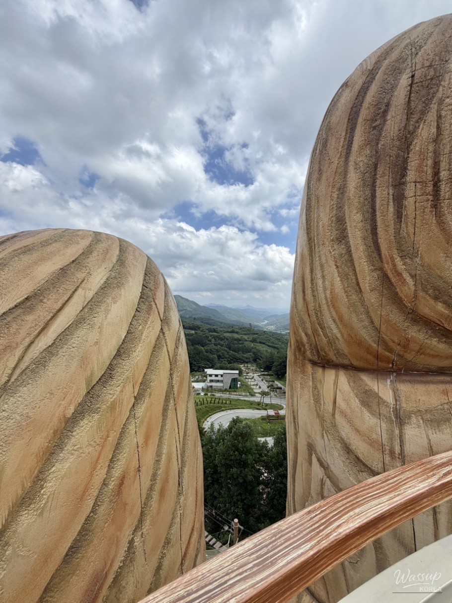 Exploring Geochang Forest Leisure Park_16