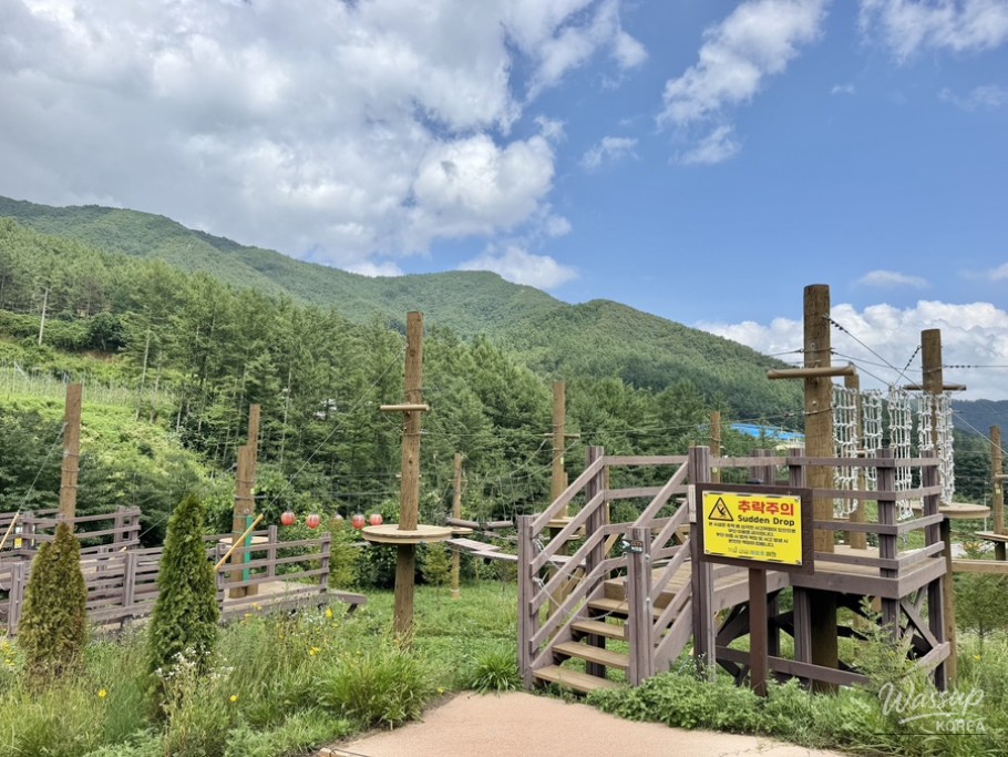Exploring Geochang Forest Leisure Park_19