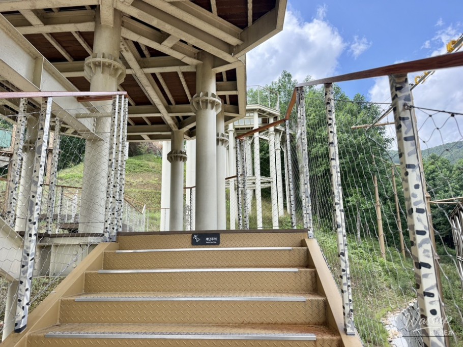 Exploring Geochang Forest Leisure Park_10