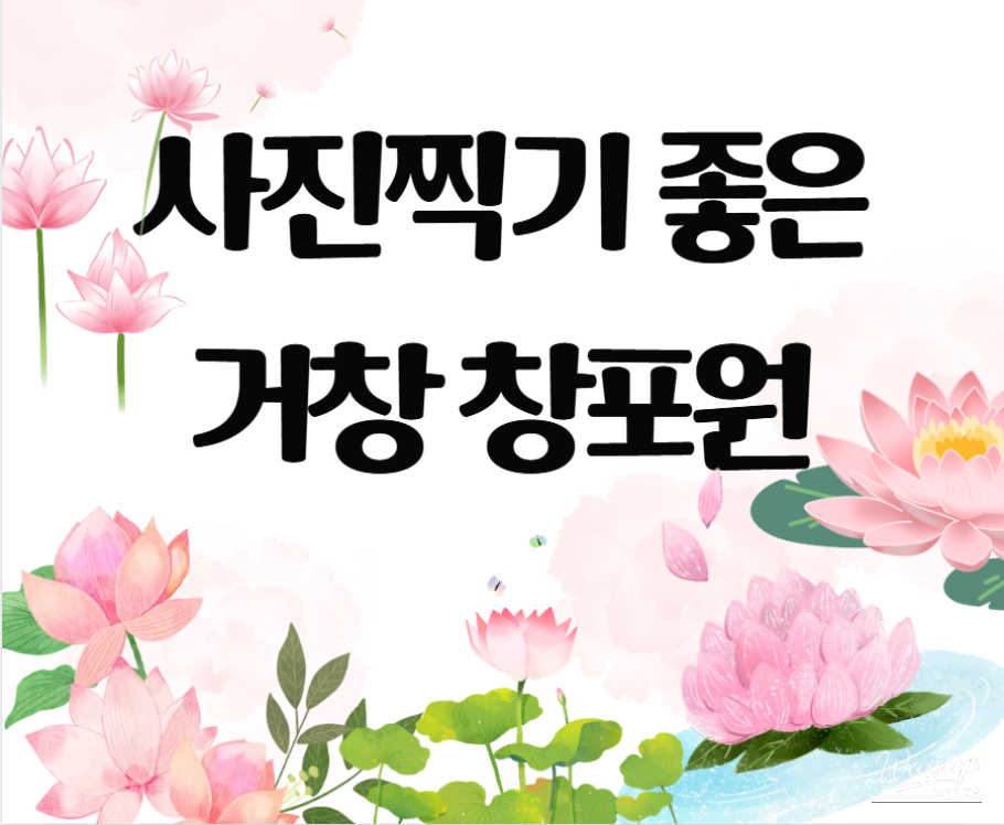 The Perfect Time to Visit Gochang Changpo Garden_01