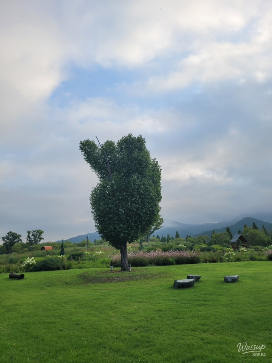 The Perfect Time to Visit Gochang Changpo Garden_13