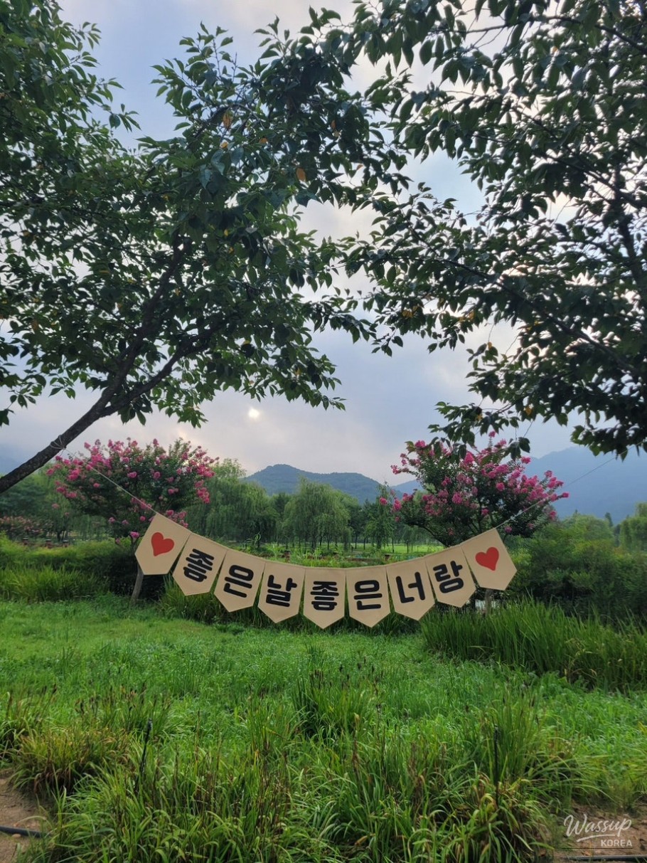 The Perfect Time to Visit Gochang Changpo Garden_05