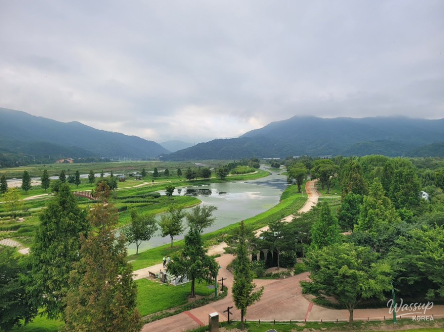 The Perfect Time to Visit Gochang Changpo Garden_12