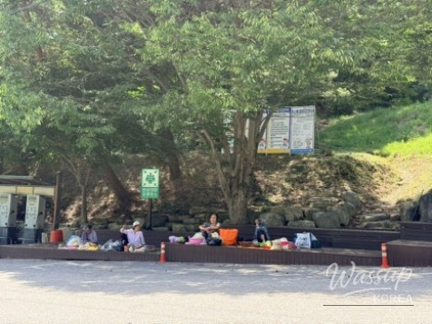 Discovering Geochang Anti-Aging Healing Land_04