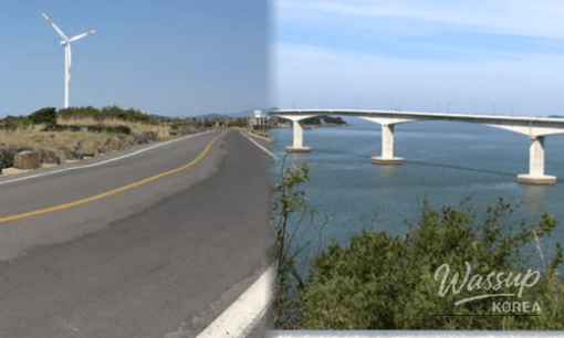Discovering Busan: Top 4 Must-Visit Places in Early April_07