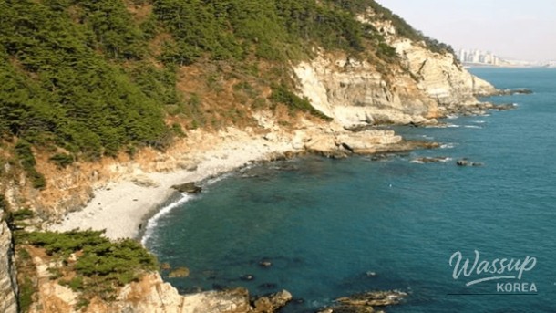 Discovering Busan: Top 4 Must-Visit Places in Early April_03