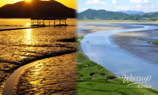 Discovering Busan: Top 4 Must-Visit Places in Early April_06