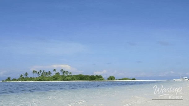 Discover the Best of Bohol: Top 4 Must-Visit Places_02