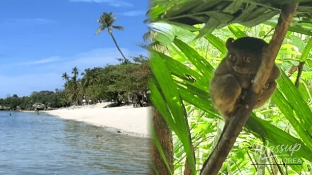 Discover the Best of Bohol: Top 4 Must-Visit Places_01