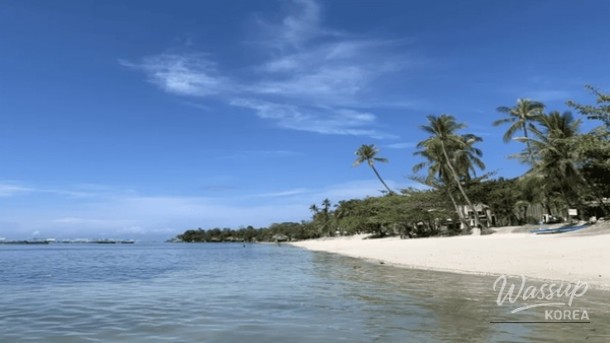 Discover the Best of Bohol: Top 4 Must-Visit Places_05