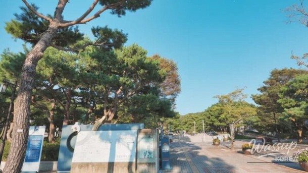 Discover the National Buyeo Museum: A Spring Journey into Baekje Culture_05