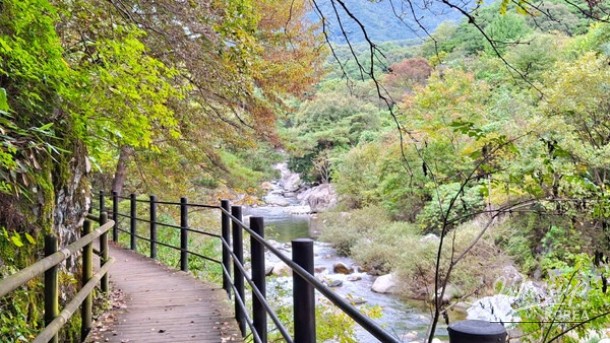 Exploring Korea's Scenic Trails in April_03
