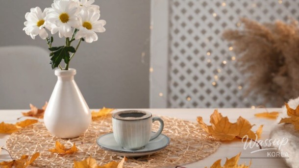 Transforming Your Weekend: Discovering Busan's Home Cafe Scene_05